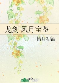《龙剑 风月宝鉴》
