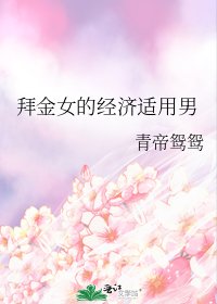 《拜金女的经济适用男》