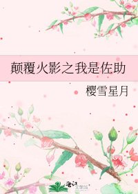 《颠覆火影之我是佐助》