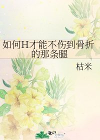 《如何H才能不伤到骨折的那条腿》