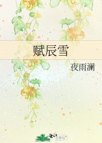 《赋辰雪》