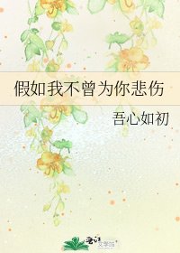 《假如我不曾为你悲伤》