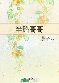 半路哥哥