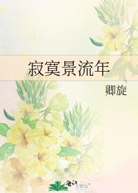 寂寞景流年