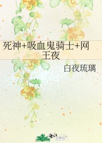 死神+吸血鬼骑士+网王夜