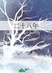 《二十八年》
