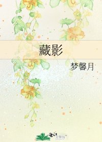《藏影》