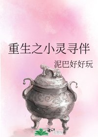 《重生之小灵寻伴》