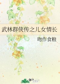 《武林群侠传之儿女情长》