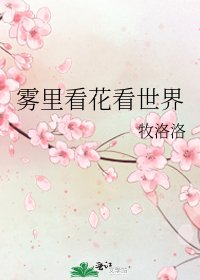 《雾里看花看世界》