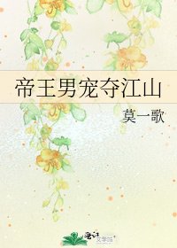 《帝王男宠夺江山》