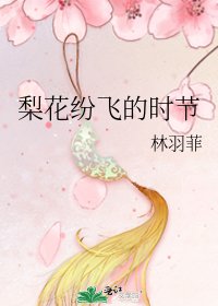 梨花纷飞的时节