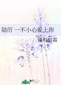 《陆厉 一不小心爱上你》