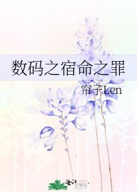 《数码之宿命之罪》