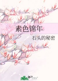 《素色锦年》