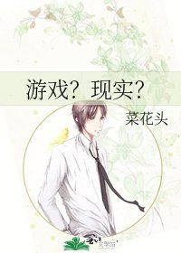 《游戏?现实?》