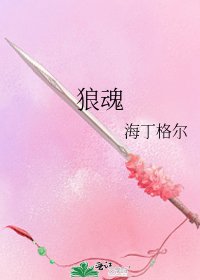 《狼魂》