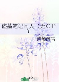 《盗墓笔记同人(无CP)》