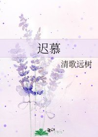 《迟慕》