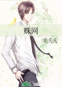 《蛛网》