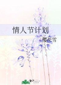 《情人节计划》
