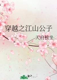 《穿越之江山公子》