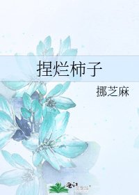 《捏烂柿子》