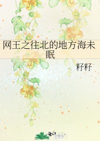 《网王之往北的地方海未眠》
