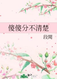 《傻傻分不清楚》