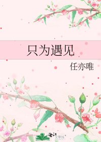 《只为遇见》