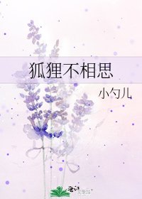 狐狸不相思