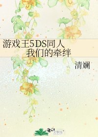《游戏王5DS同人 我们的牵绊》