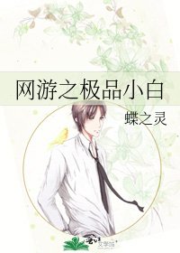 《网游之极品小白》