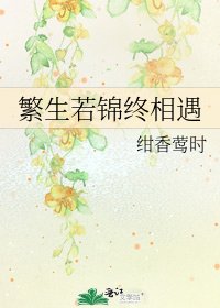 《繁生若锦终相遇》