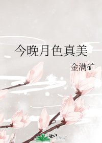 《今晚月色真美》