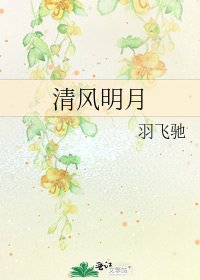 《清风明月》