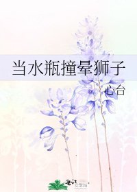 《当水瓶撞晕狮子》