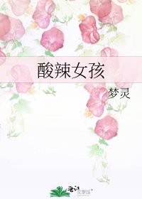 《酸辣女孩》