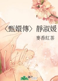 《〈甄嬛傳〉靜淑媛》