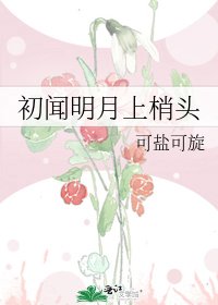 《初闻明月上梢头》