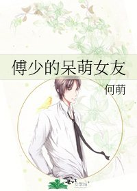 傅少的呆萌女友