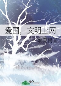 《爱国,文明上网》