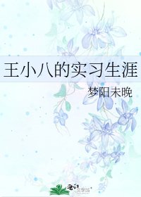 《王小八的实习生涯》