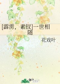 [霹雳，素钗]一世相随