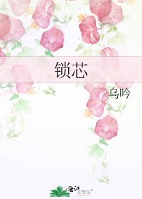 锁芯