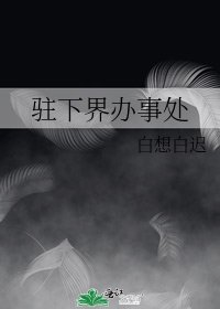 《驻下界办事处》