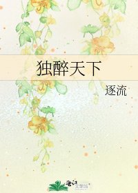 《独醉天下》