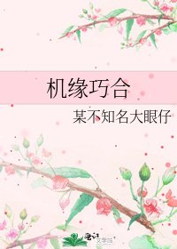 《机缘巧合》