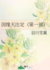 《因缘天注定(第一部)》