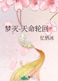 《梦灭-天命轮回》